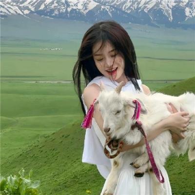 竞争的守护者